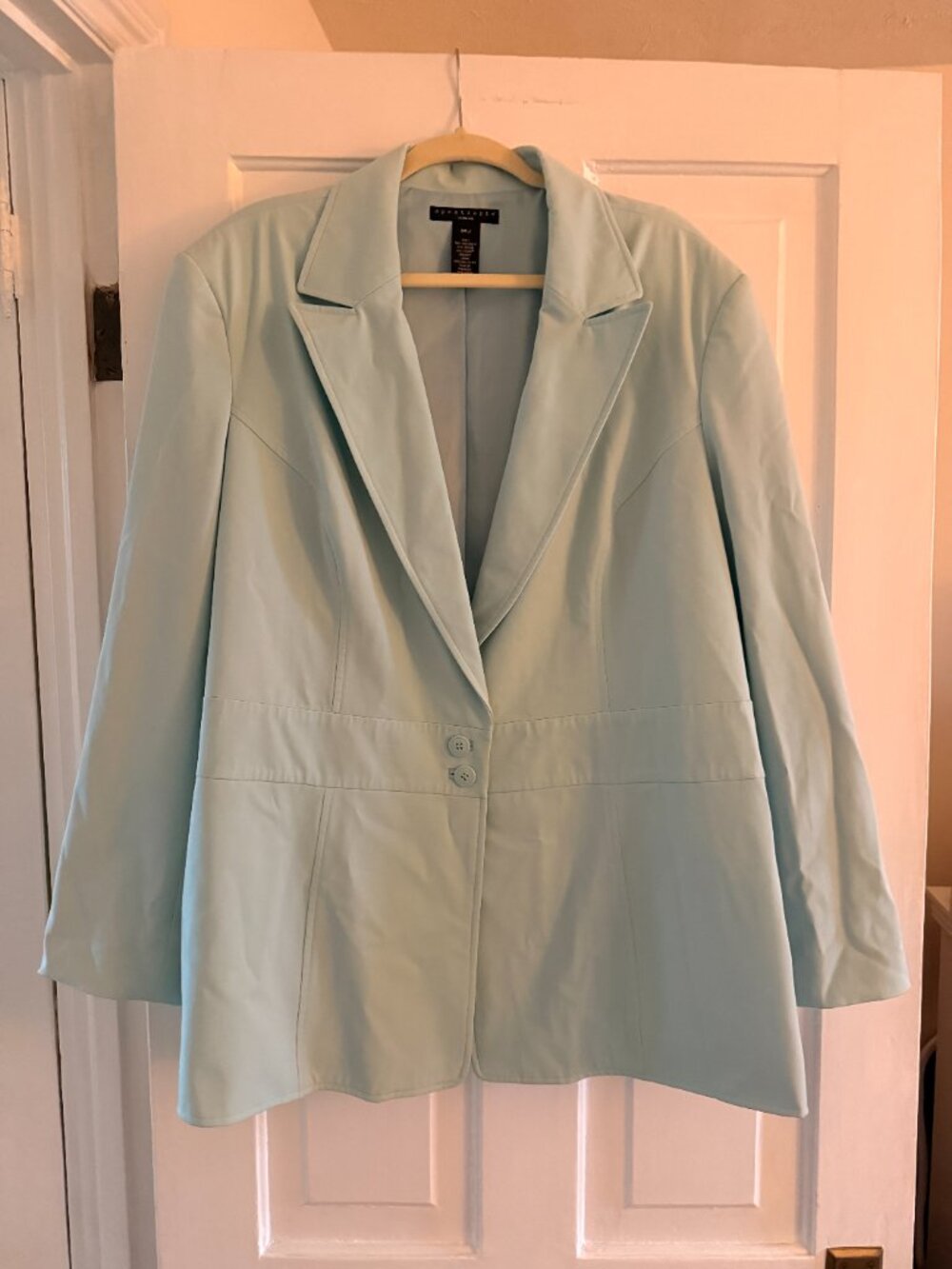 Apostrophe Robin's Egg Light Blue Oversized Blazer | Women Plus Size 24